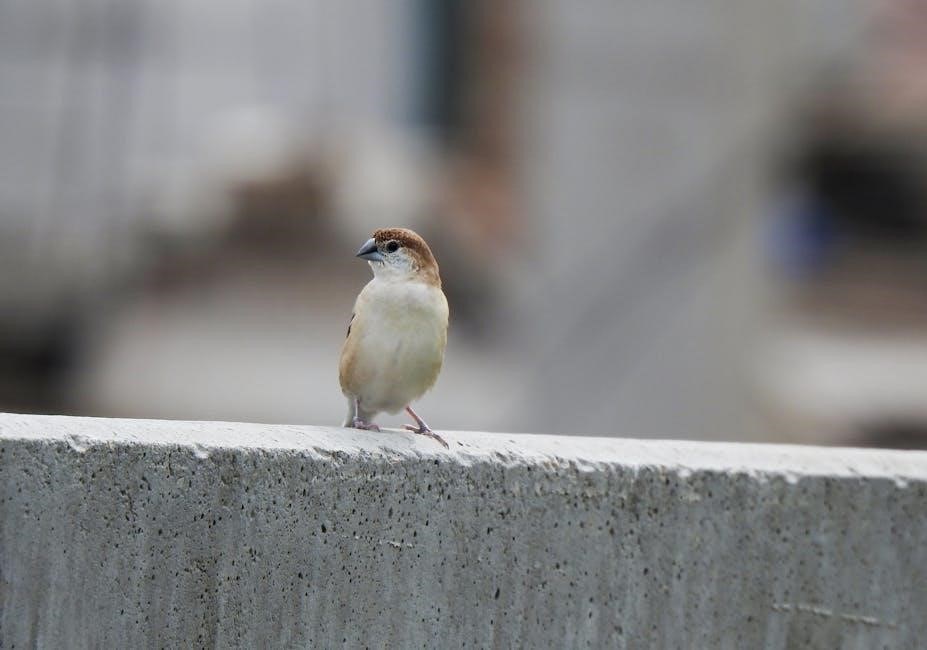 the beaks of finches lab answers pdf
