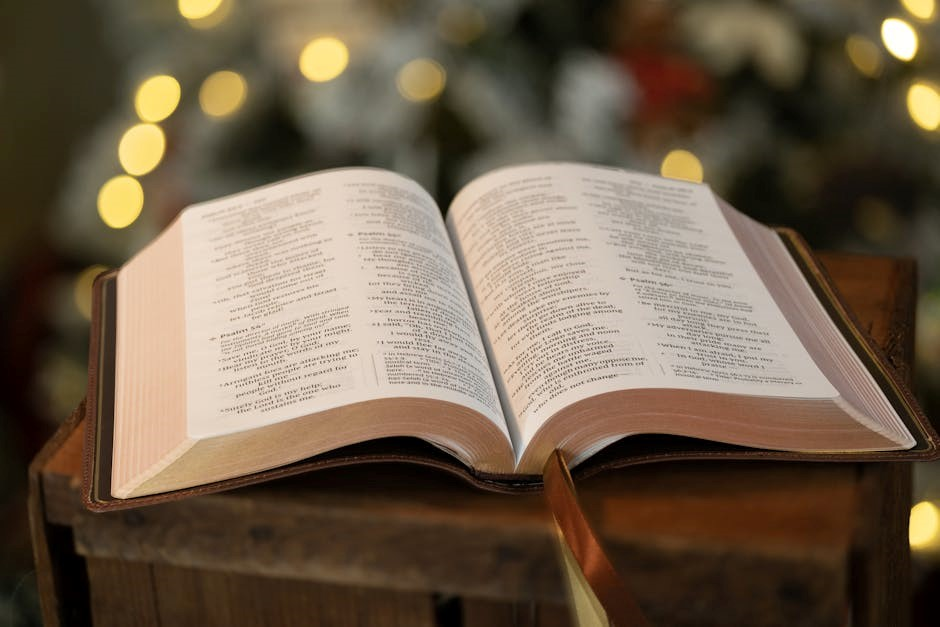 book of james bible study guide