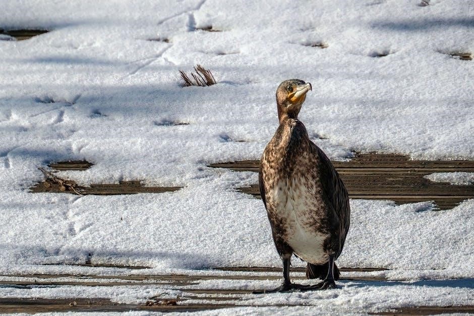 south dakota waterfowl hunting guides