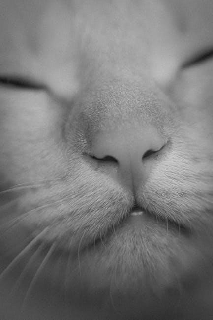 manual breathing can’t sleep
