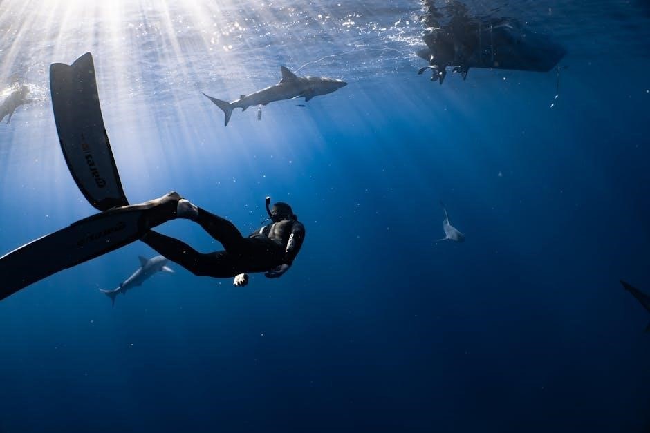 pdf padi open water diver manual